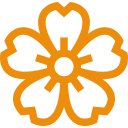 Image is not supported